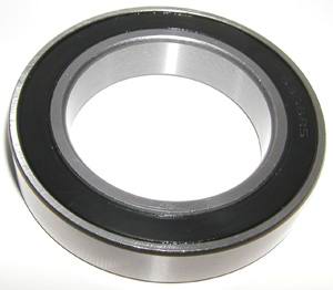 S6807-2RS bearing