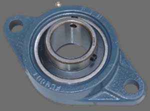 25mm Mounted Bearing UCFL205 + 2 Bolts Flanged Cast Housing
