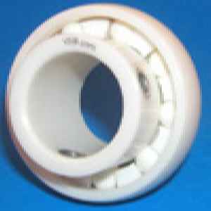 UC205 25mm Full Ceramic Mounted Bearing ZrO2